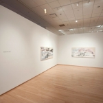 Elizabeth Blau, "Weathered Patterns", Tyler School of Art Gallery, April 2012